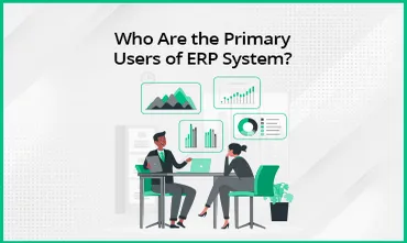 Who are the primary users of erp system