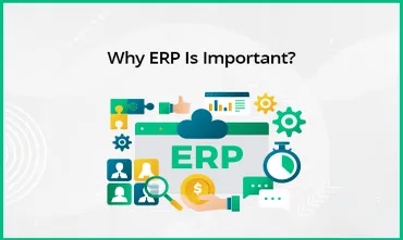 Why ERP Is Important?