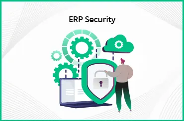 ERP Security